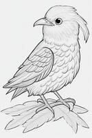 cute Bird for kids coloring page photo