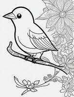 cute Bird for kids coloring page photo