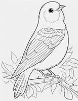 cute Bird for kids coloring page photo