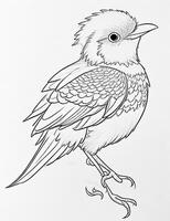 cute Bird for kids coloring page photo