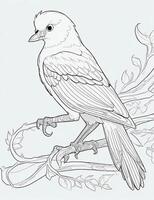 cute Bird for kids coloring page photo