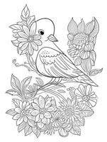 cute Bird for kids coloring page photo