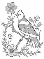 cute Bird for kids coloring page photo