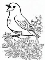 cute Bird for kids coloring page photo