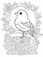 cute Bird for kids coloring page photo