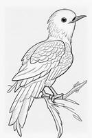 cute Bird for kids coloring page photo