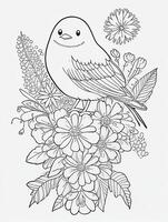 cute Bird for kids coloring page photo