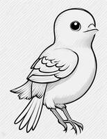 cute Bird for kids coloring page photo