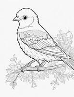 cute Bird for kids coloring page photo