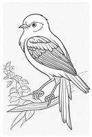 cute Bird for kids coloring page photo