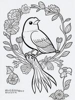 cute Bird for kids coloring page photo