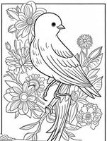 cute Bird for kids coloring page photo