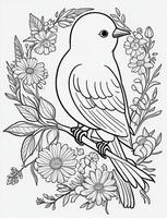 cute Bird for kids coloring page photo