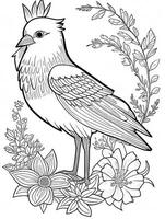 cute Bird for kids coloring page photo