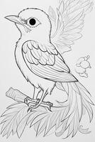 cute Bird for kids coloring page photo