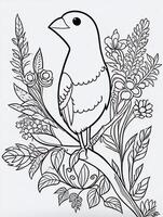 cute Bird for kids coloring page photo