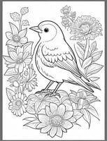 cute Bird for kids coloring page photo