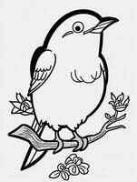 cute Bird for kids coloring page photo