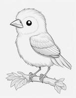 cute Bird for kids coloring page photo