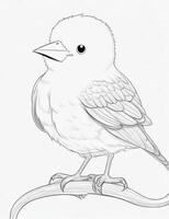 cute Bird for kids coloring page photo