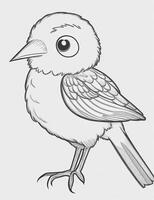 cute Bird for kids coloring page photo