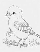 cute Bird for kids coloring page photo