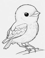 cute Bird for kids coloring page photo