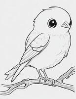 cute Bird for kids coloring page photo