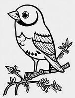 cute Bird for kids coloring page photo