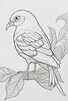 cute Bird for kids coloring page photo