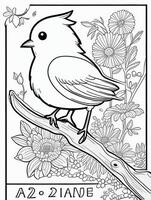 cute Bird for kids coloring page photo