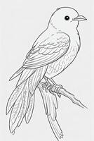 cute Bird for kids coloring page photo