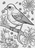 cute Bird for kids coloring page photo