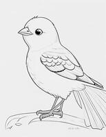 cute Bird for kids coloring page photo