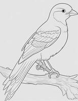 cute Bird for kids coloring page photo