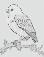 cute Bird for kids coloring page photo