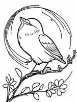 cute Bird for kids coloring page photo