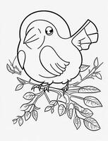 cute Bird for kids coloring page photo