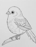 cute Bird for kids coloring page photo