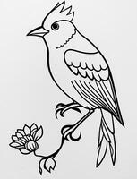 cute Bird for kids coloring page photo