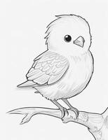 cute Bird for kids coloring page photo