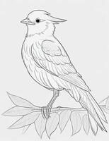 cute Bird for kids coloring page photo