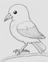 cute Bird for kids coloring page photo