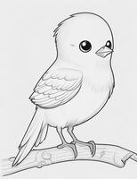 cute Bird for kids coloring page photo