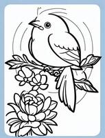 cute Bird for kids coloring page photo