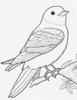 cute Bird for kids coloring page photo