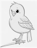 cute Bird for kids coloring page photo