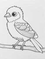 cute Bird for kids coloring page photo