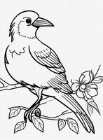 cute Bird for kids coloring page photo