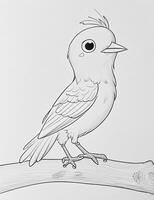 cute Bird for kids coloring page photo